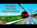 VIRAL DJ !!! TE MOLA - BAD LIAR - DANCE MONKEY ( Y.F- JP)