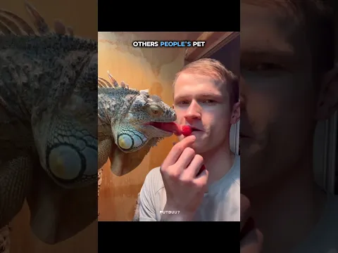 Others people's pet vs last one π || #shorts