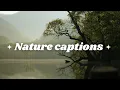 Short nature captions Aesthetic nature captions for instagram Nature caption english