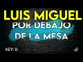 Luis Miguel - Por Debajo De La Mesa - Karaoke Instrumental - Mujer