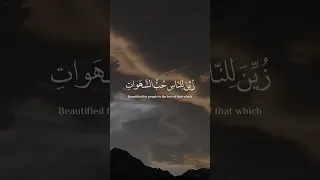 زين للناس حب الشهوات القارئ عبدالرحمن مسعد 