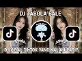 Download Lagu DJ TABOLA BALE REMIX VIRAL TIKTOK FULL BASS TERBARU 2025 TABOLA BALE