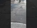 Shelton ave the ville 2x New haven ct