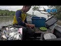 Tangkap ketam dan terus masak hasil ep.575