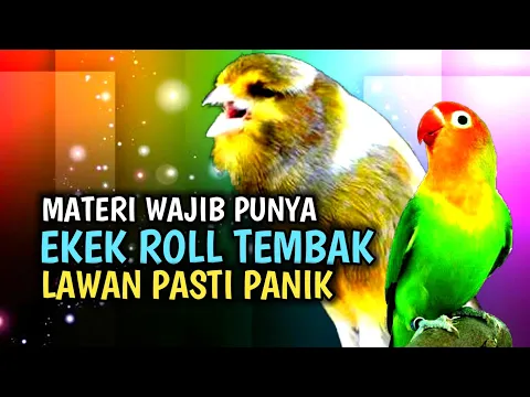 Download MP3 Kenari vs Lovebird Adu Gacor Mantap Buat Masteran dan Pancingan | Bird Singing @masterburungkicau