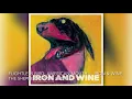 Flightless Bird, American Mouth - Iron \u0026 Wine [8D]