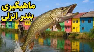 ماهیگیری در بندرانزلی قسمت دوم Pike Fishing In North Of Iran 