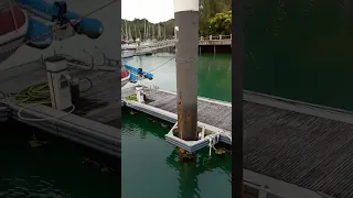 Bird rescue on board