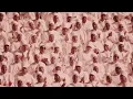 Jay Electronica, Westside Gunn, Hit-Boy, Dr. Wesley Muhammad PhD - Best Wishes [Official Audio]