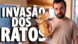 QUEM MANDOU MORAR NO MATO? - Ep.1783