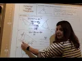 unit 4 triangle angle sum theorem