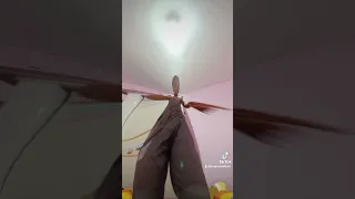 دم بدم وعادي يا عم 