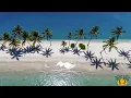 Romantic Spanish and Italian Music | Guitar and Accordion for Peaceful Mornings and Evenings