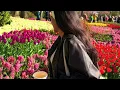 Ya Msafer (sped up) ناصيف زيتون وزهير بهاوي - يا مسافر - مسرعة
