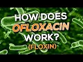 Ofloxacin Floxin Nursing Drug Card Simplified - Pharmacology