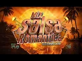 MIX SALSA ROMANTICA PARA LA VENA 💉   SOLO GRANDES ÉXITOS   DJBravo