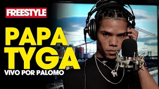 vivo por palomo freestyle papa tyga dj scuff