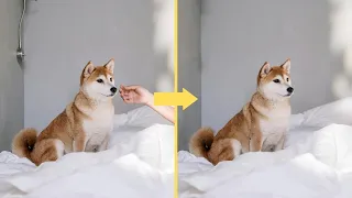 Remove Objects and People from Photos for Free with LunaPic