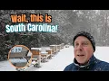 Lagu My Bee Yards Got Hit With Snow - Here's What I Found