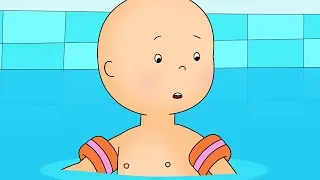 Caillou at the Swimming Pool Caillou Cartoon