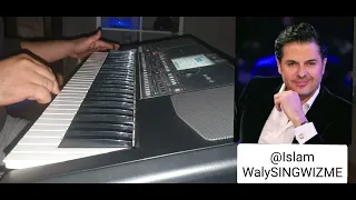 حبيب قلبي يا غالي راغب علامة عزف اورج 