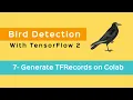 7 - Object Detection with Tensorflow 2