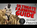 Medieval Dynasty Best Crop Rotation Plan - Ultimate Farming Guide