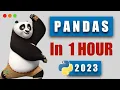Pandas for Absolute Beginners Master the Basics of Data Analysis with Pandas