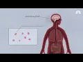 How Grief Affects Your Brain And What To Do About It | Better | NBC News