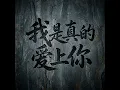 我是真的爱上你