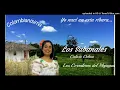 Los sabanales: Calixto Ochoa - Los Corraleros del Majagual.