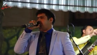 محمود تقی زاده ای پرنده 