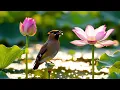 Waterside Flower Garden 🌸 3 Hours Relaxing Piano, Water Sounds & Birdsong for Sleep, Study & Calm