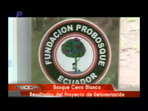Bosque Cerro Blanco resultados del proyecto de reforestación