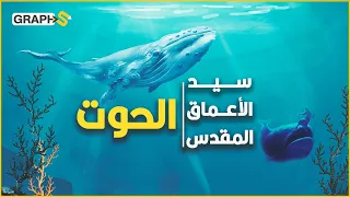 الحوت الأزرق    عجائب خلقه لا تصد  ق    الحيوان المقدس الذي أنقذ يونس عليه السلام فلقبه الله باسمه دندنها