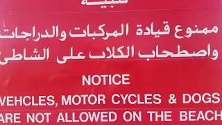 شواطئ سلطنة ع مان بدر الشعيبي آل شعيب 