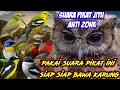 Download Lagu suara pikat burung kecil ribut kolibri, sogok ontong, prenjak, kemade, sirpu, mantenan, pleci a15