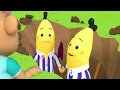Download Lagu Rescue Adventure Day! | Bananas in Pyjamas Season 1 | Full Episodes | Bananas In Pyjamas