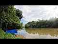 Download Lagu 2 hari Berpetualang Camp Fishing Muara Sungai Wahau. 