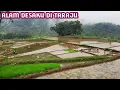 Download Lagu Suasana Pesawahan Dan Kebun Teh Taraju Tasikmalaya