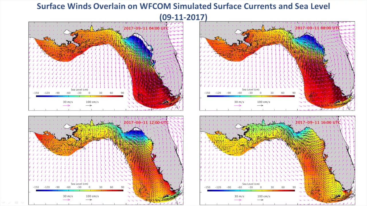 West Florida Shelf and Tampa Bay Responses to Hurricane Irma: What Happened and Why