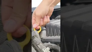 كيف نفحص زيت المحرك في السيارة Automobile مهندس شريف 