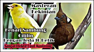 materi masteran ancaman 2023 kenari roll speed langsung sambung cililin di jamin josss 