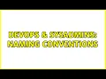 DevOps SysAdmins Naming Conventions 19 Solutions
