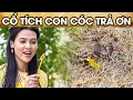 Download Lagu CỔ TÍCH CON CÓC TRẢ ƠN | CỔ TÍCH VIỆT NAM | PHIM TRUYỆN CỔ TÍCH HAY NHẤT 2025 | GHIỀN CỔ TÍCH