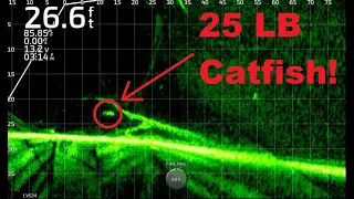 Fishing for BIG Catfish with Live Bait Full-Screen LiveScope Footage Throughout Trip