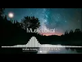Download Lagu Skateparty - Pulang [Musik Lirik Indie Indonesia]
