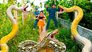 Brave SOLDIER Rescues Young Girl from Giant Golden Python in Abandoned House
