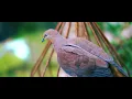 Alex Somers - Sleeps