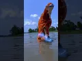Download Lagu 🙏🕉️Jay Ganesha Deva🙏 Ganpati Bappa morya||Ganesh||Ganpati song||Ganpati visarjan||#shorts#umeshwf 🙏🙏